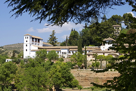 Generalife, Alhambra Palace, UNESCO World Heritage Site, Granada, Andalucia, Spain, Europe