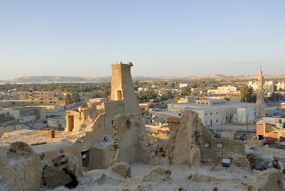 View from old town, Oasis of Shali, Egypt, North Africa, Africa