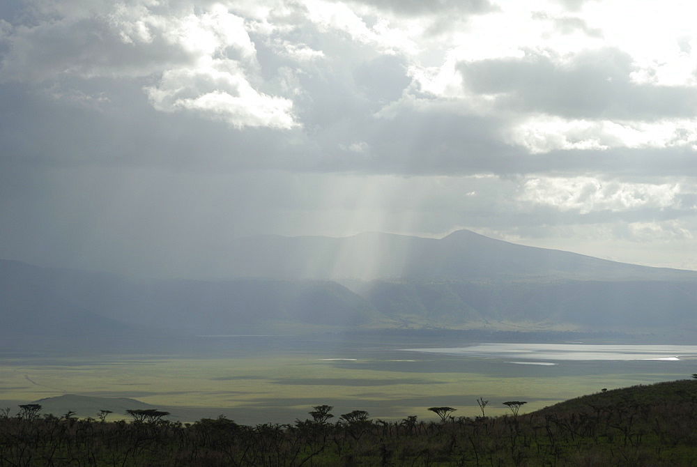 Ngorongoro crater, UNESCO World Heritage Site, Tanzania, East Africa, Africa