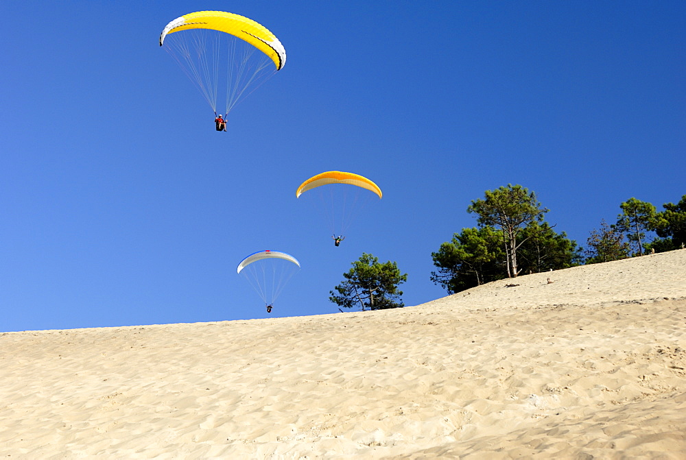 Hang gliders over Dune du Pyla, Bay of Arcachon, Cote d'Argent, Gironde, Aquitaine, France, Europe