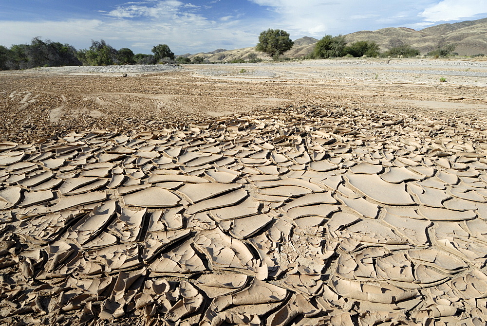 Dried river bed, Kaokoland, Namibia, Africa