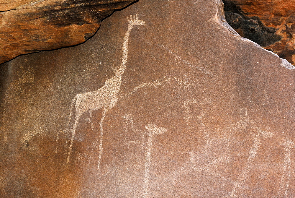 Rock engravings, UNESCO World Heritage Site, Twyfelfontein, Namibia, Africa