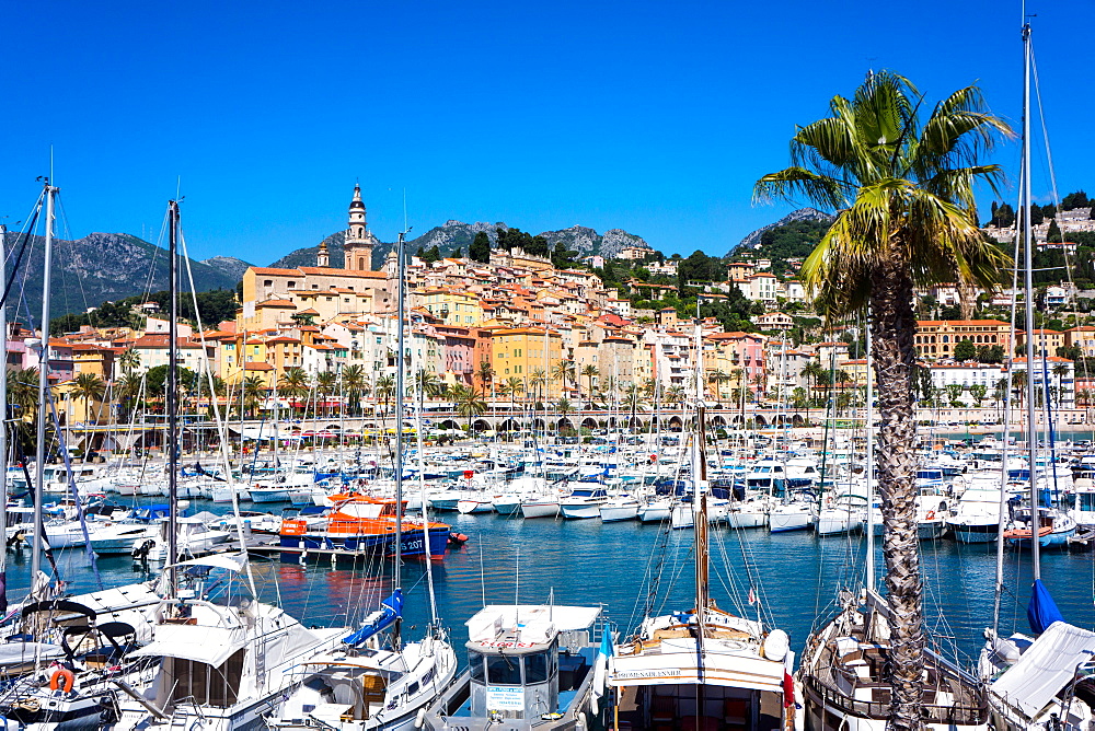 Old Town and Marina, Menton, Cote d'Azur, French Riviera, Provence, France, Mediterranean, Europe