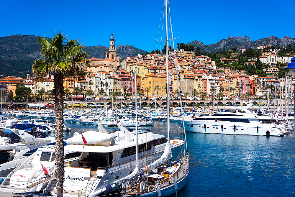 Old Town and Marina, Menton, Cote d'Azur, French Riviera, Provence, France, Mediterranean, Europe