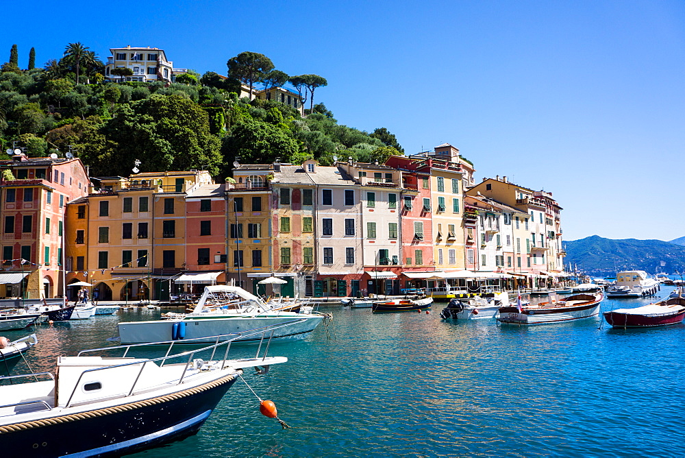 Portofino, Liguria, Italy, Europe