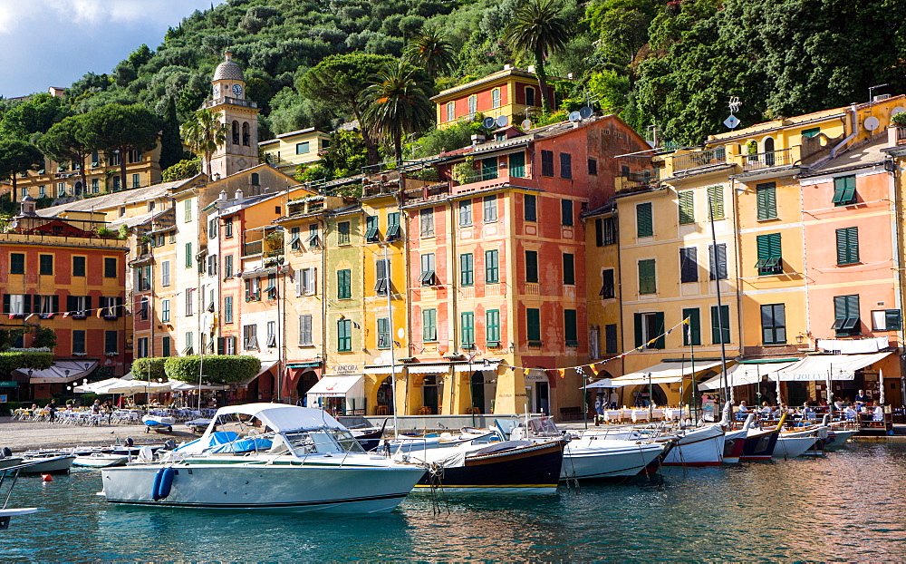 Marina, Portofino, Liguria, Italy, Europe