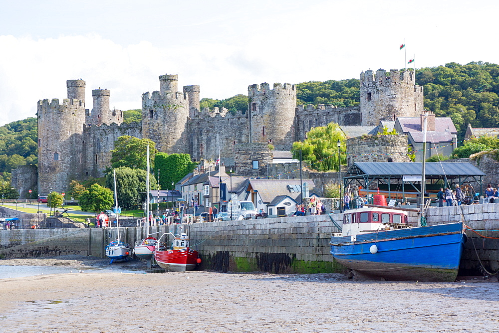 Conwy Castle, UNESCO World Heritage Site, and harbour, Conwy, Wales, United Kingdom, Europe 