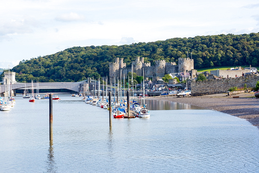 Conwy Castle, UNESCO World Heritage Site, and harbour, Conwy, Wales, United Kingdom, Europe