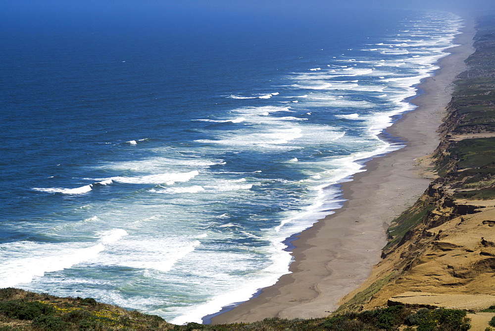 Point Reyes, National Seashore, California, United States of America, North America