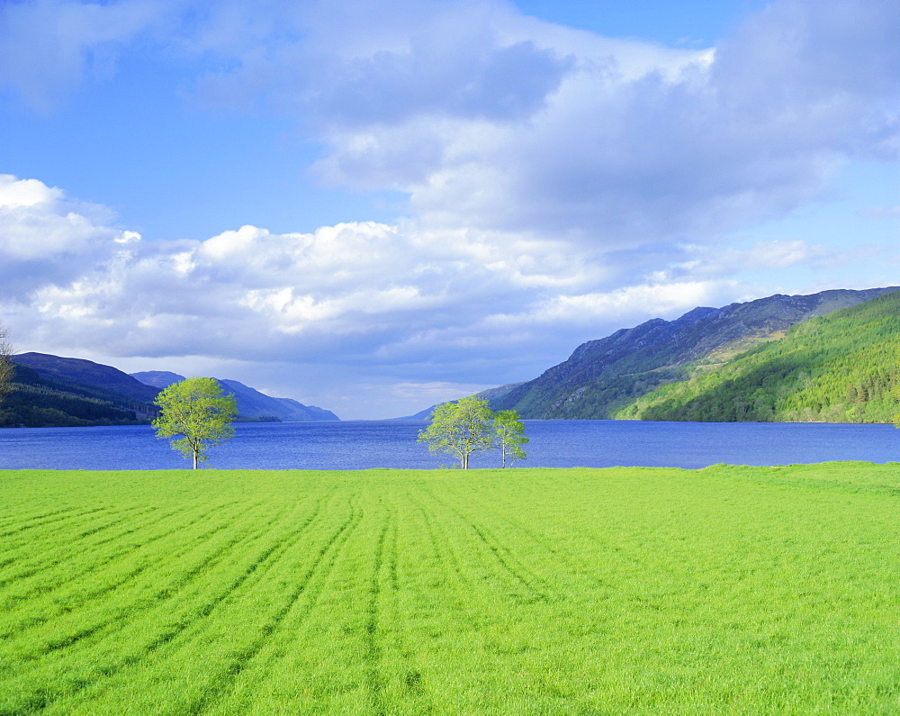 Loch Ness from the western end, Highlands Region, Scotland, UK, Europe