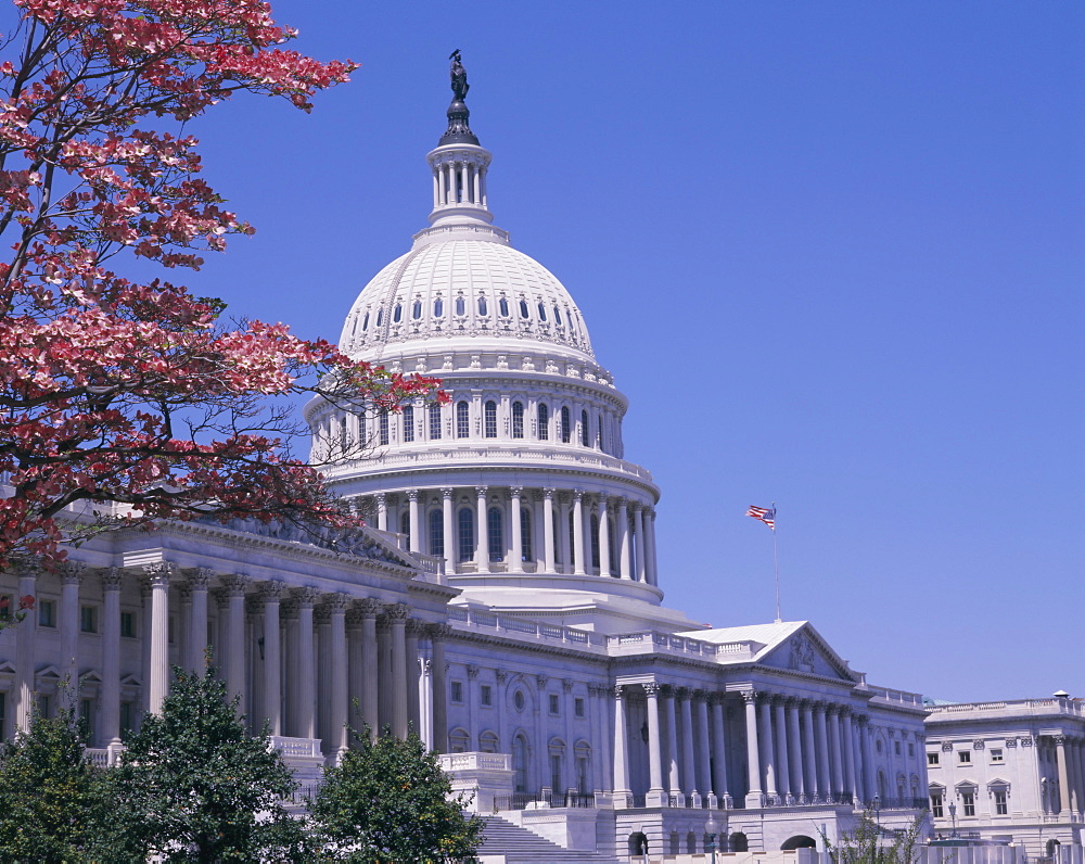 The east side of the Capitol, Washington D.C., USA, North America