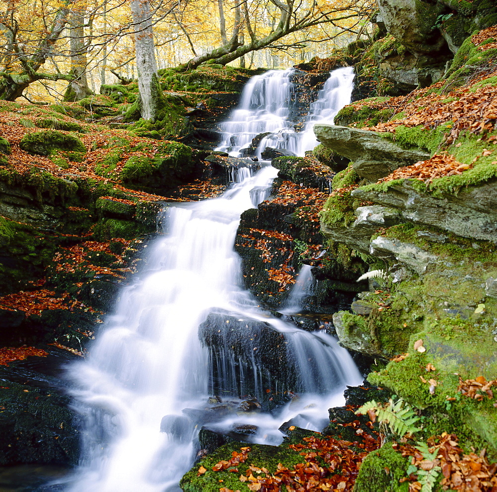 The Birks of Aberfeldy in Tayside, Scotland 