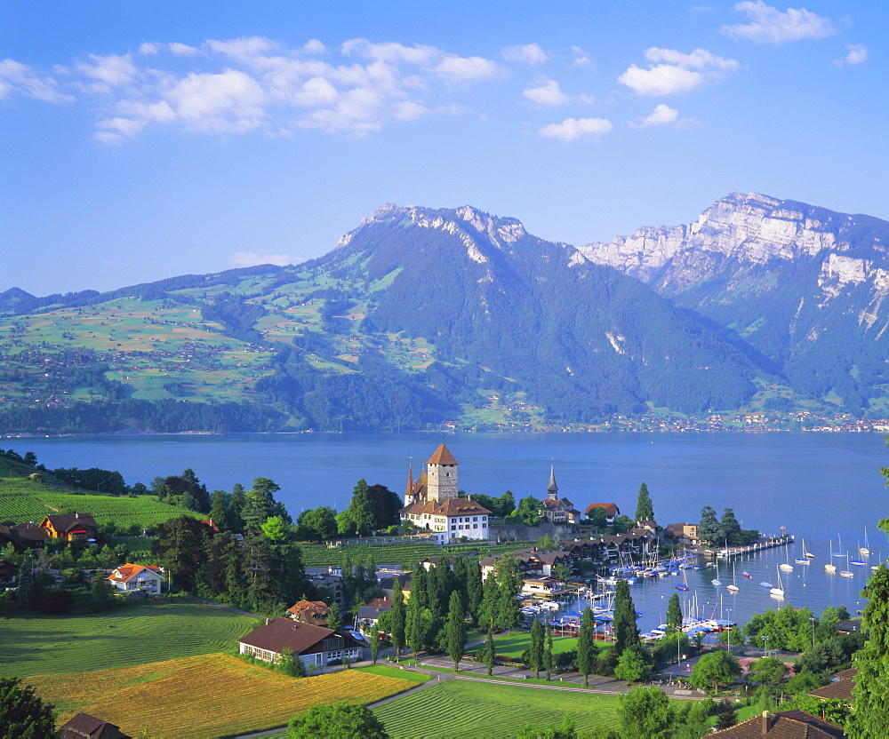 Spiez, Lake Thun (Thunersee), Jungfrau Region, Bernese Oberland, Switzerland, Europe