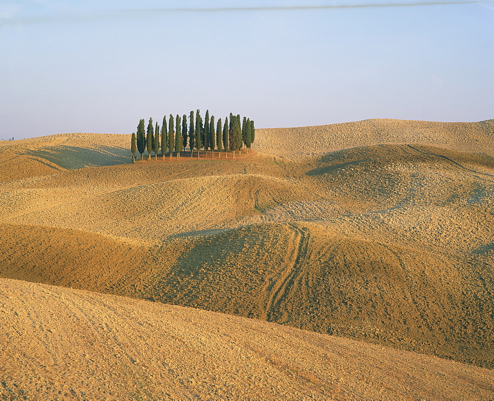 Landscape of bare fields and cypress trees in Tuscany, Italy, Europe