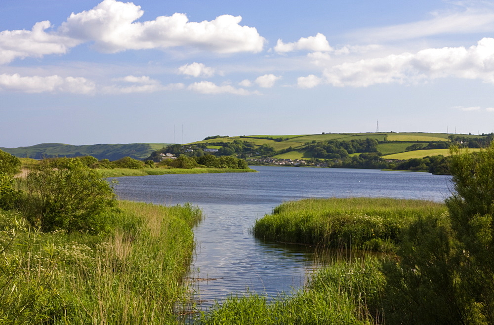 Slapton Ley, South Devon, England, United Kingdom, Europe