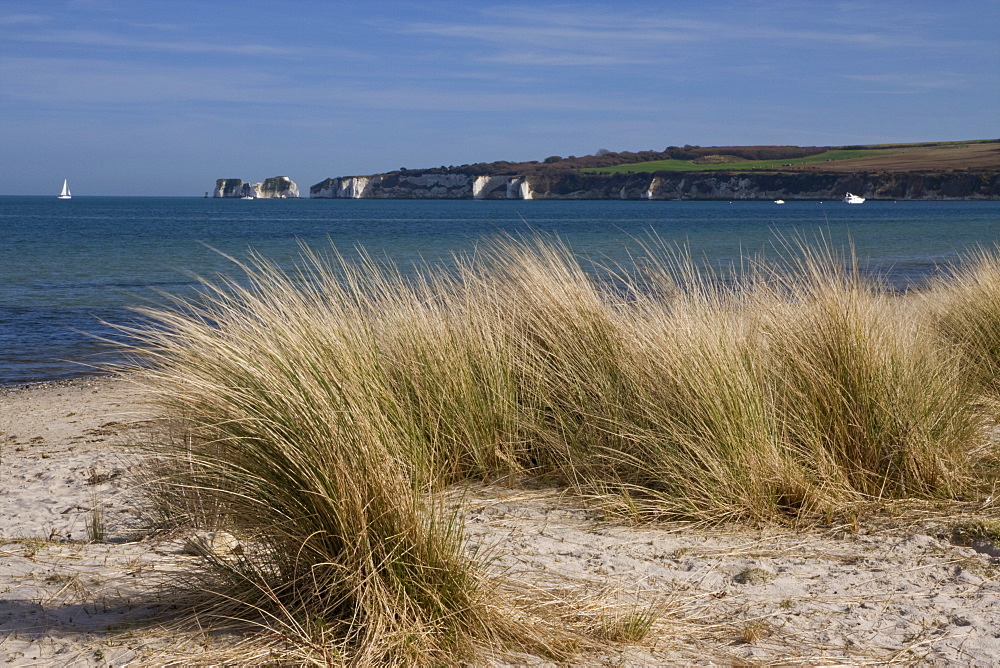 Studland Beach and The Foreland or Hardfast Point, showing Old Harry Rock, Isle of Purbeck, Dorset, England, United Kingdom, Europe