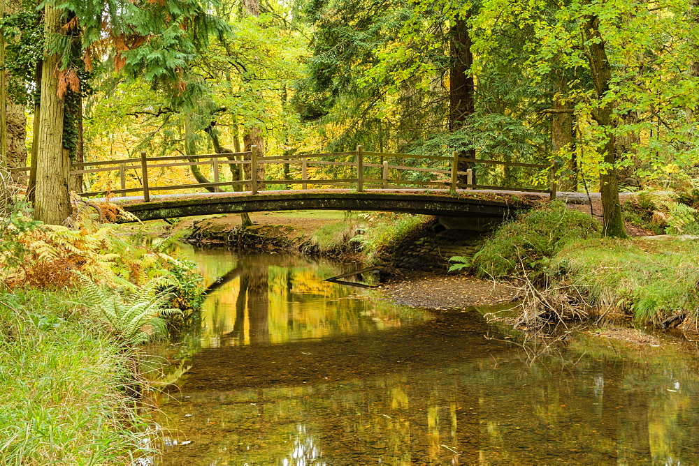 Road Bridge over the Black Water River in autumn, New Forest National Park, Hampshire, England, United Kingdom, Europe