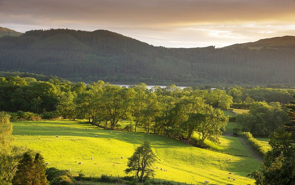 View with Bassenthwaite Lake in distance, Lake District National Park, UNESCO World Heritage Site, Cumbria, England, United Kingdom, Europe