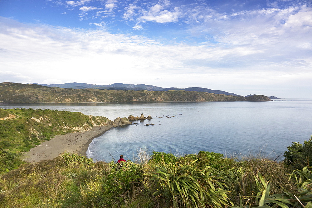 Oruaiti Reserve in Breaker Bay, Wellington, New Zealand, Oceania