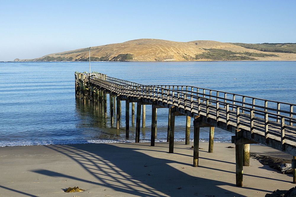 Omapere Wharf on the Hokianga, Omapere, Northland, North Island, New Zealand, Pacific