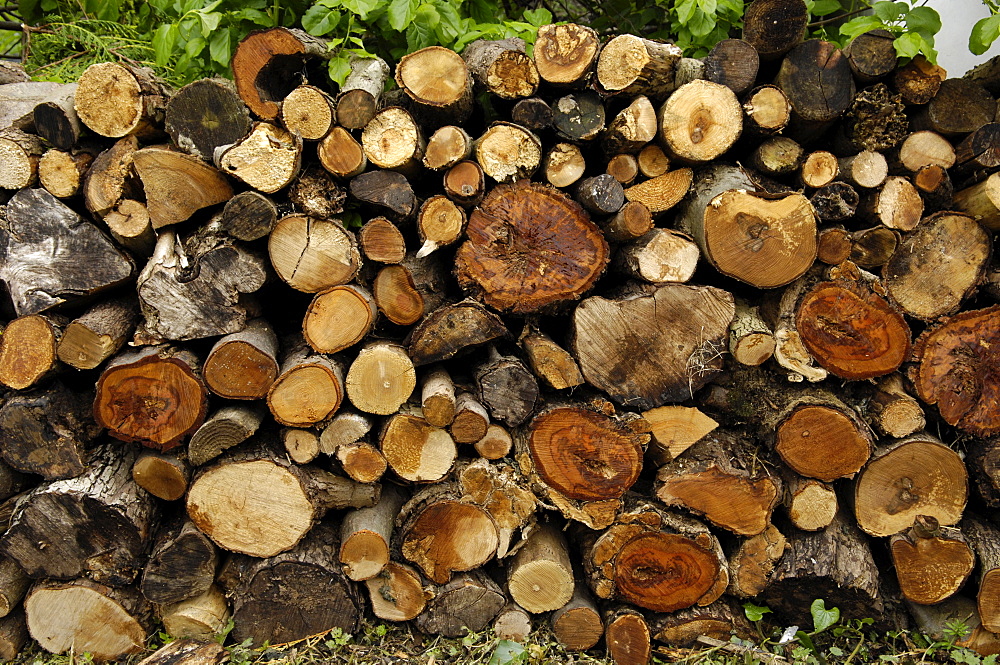 Stack of logs, England, United Kingdom, Europe