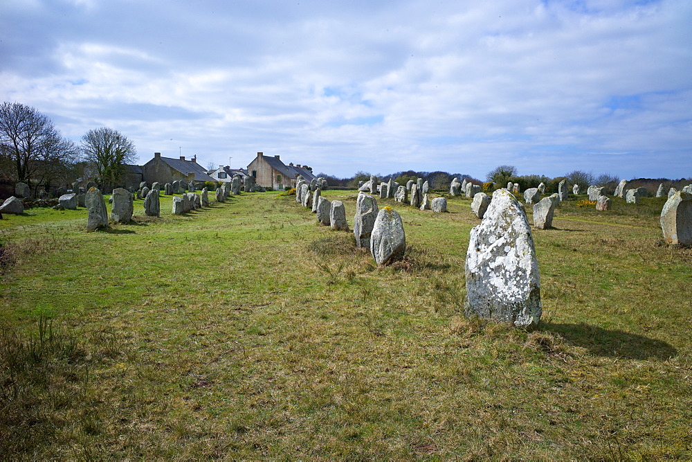 Megalithic stones in the Menec Alignment at Carnac, Brittany, France, Europe