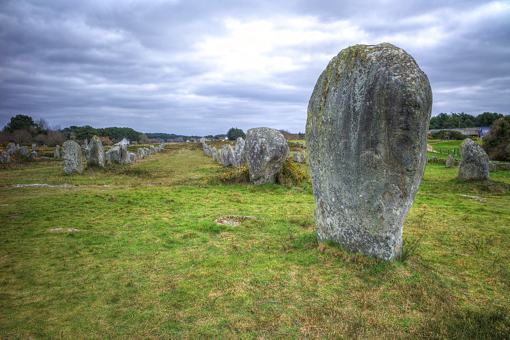 Megalithic stones in the Menec Alignment at Carnac, Brittany, France, Europe