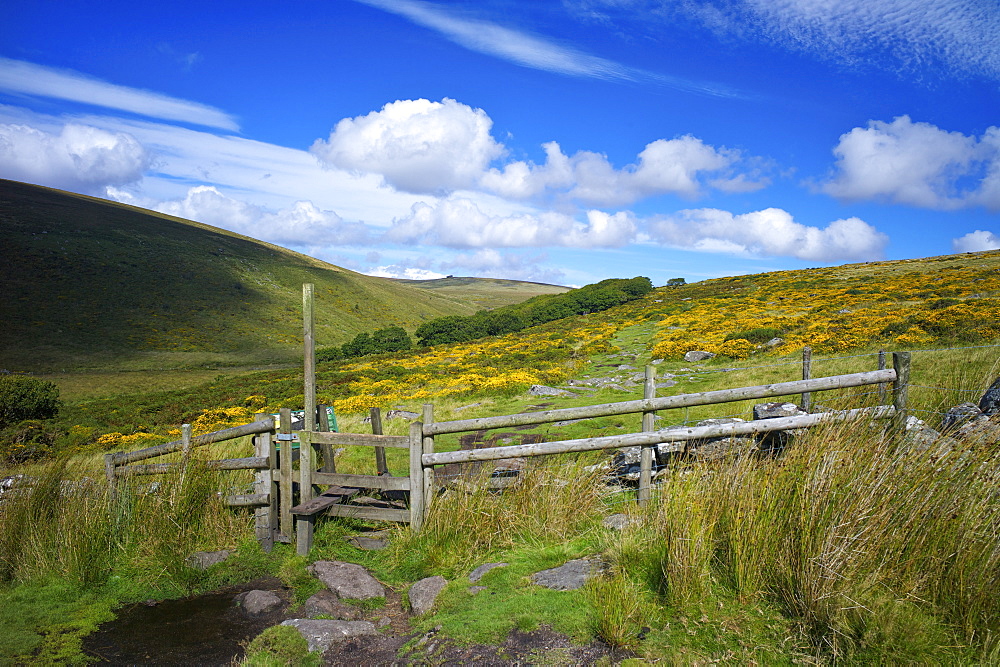 The footpath to Wistman's Wood on Dartmoor, Devon, England, United Kingdom, Europe