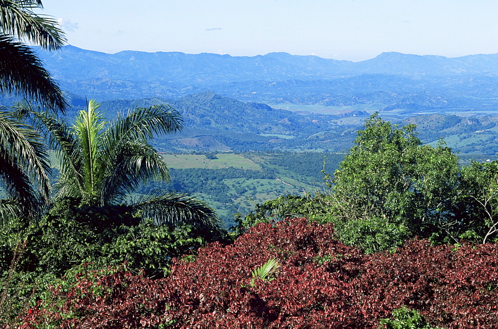 Northern part of the island, Dominican Republic, West Indies, Central America