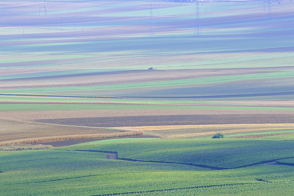 Agricultural landscape, Champagne, France, Europe