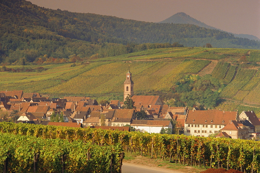 Riquewihr, Alsace, France, Europe