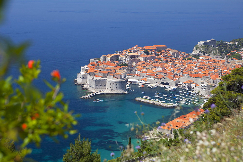 High view of city and harbour from mountain side, Dubrovnik, UNESCO World Heritage Site, Dalmatian Coast, Croatia, Europe 