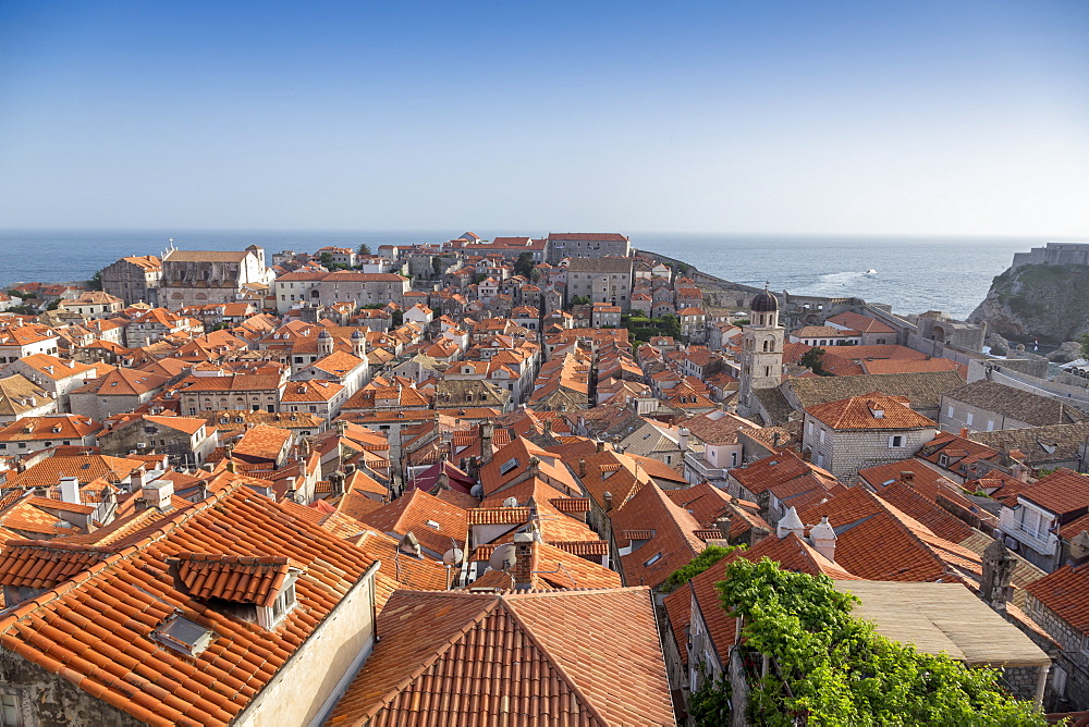 View across rooftops from the city wall of Dubrovnik, UNESCO World Heritage Site, Croatia, Europe 