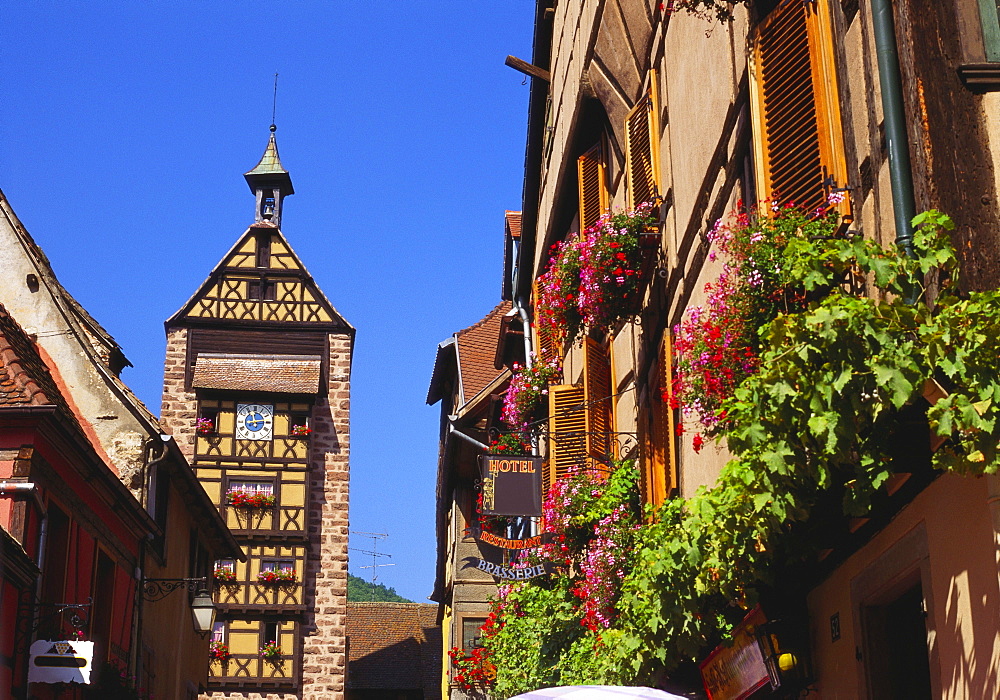 Riquewihr, Alsace, France, Europe