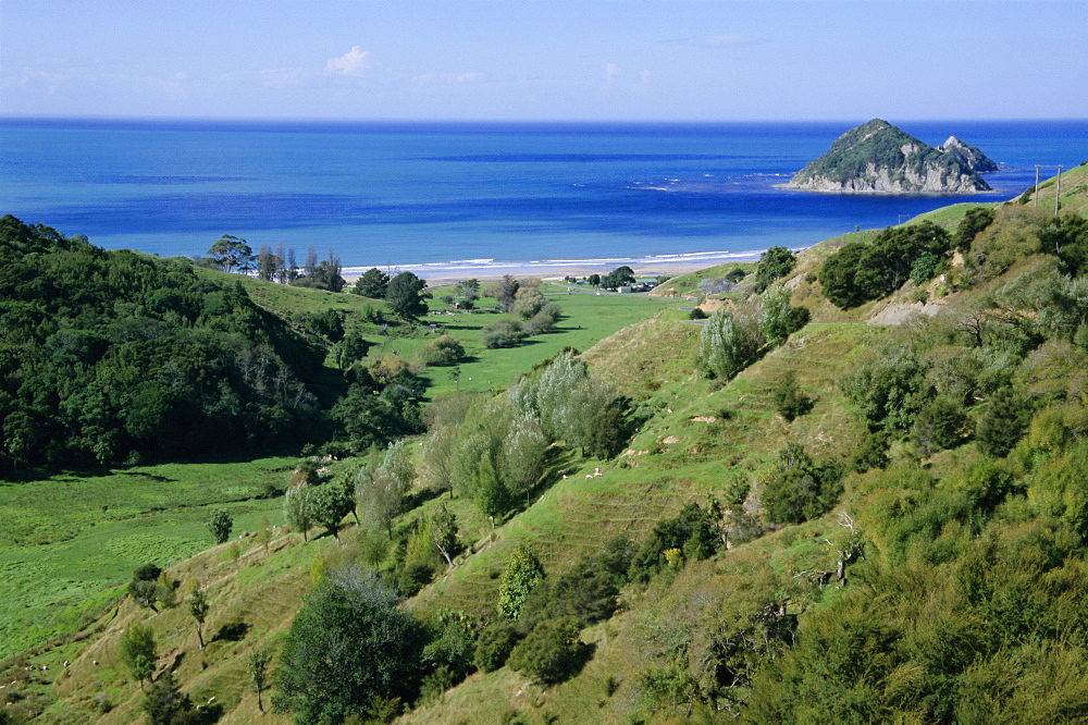 Beach and coast, Tokomaru Bay, Gisborne, East Coast, North Island, New Zealand, Pacific