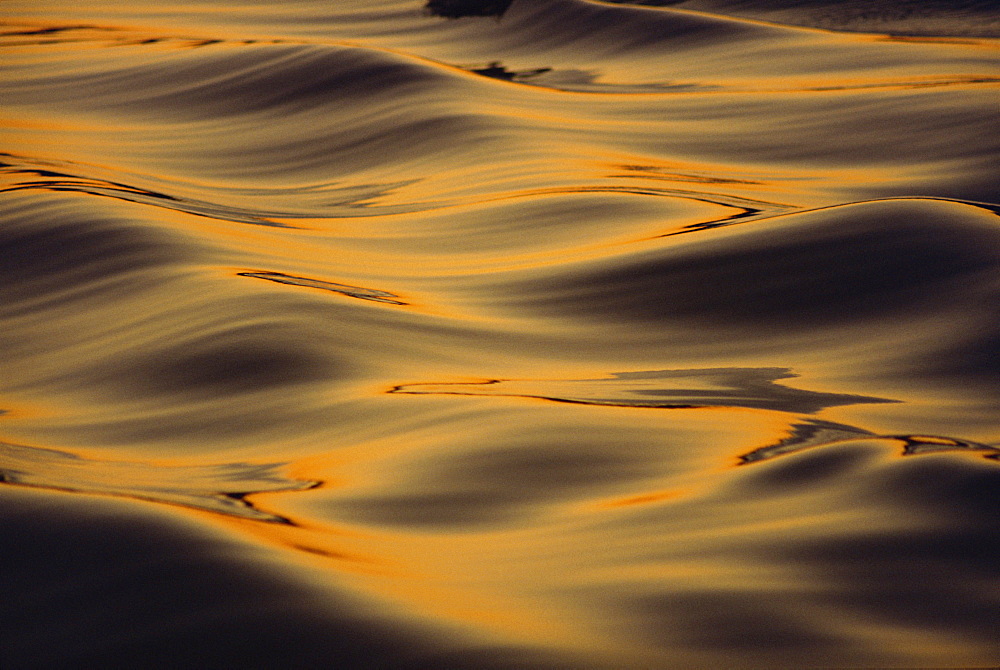 Calm water ripples in winter dusk light, Tysfjord, Arctic Waters, Polar Regions