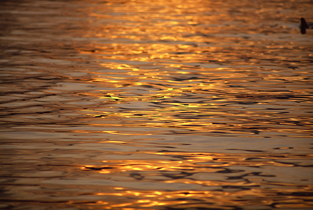 Calm water reflecting dusk light, Tysfjord, Arctic Waters, Polar Regions