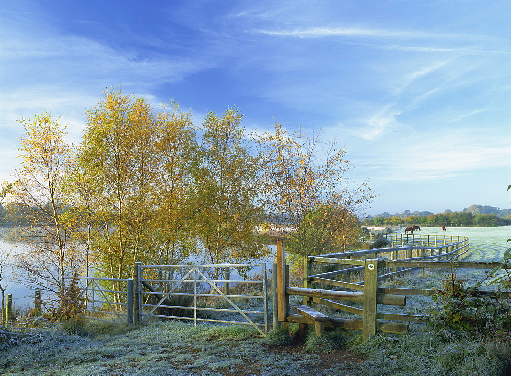 Footpath and stile near Horseshoe Lake on a frosty morning in autumn, Sandhurst, Berkshire, England, United Kingdom, Europe