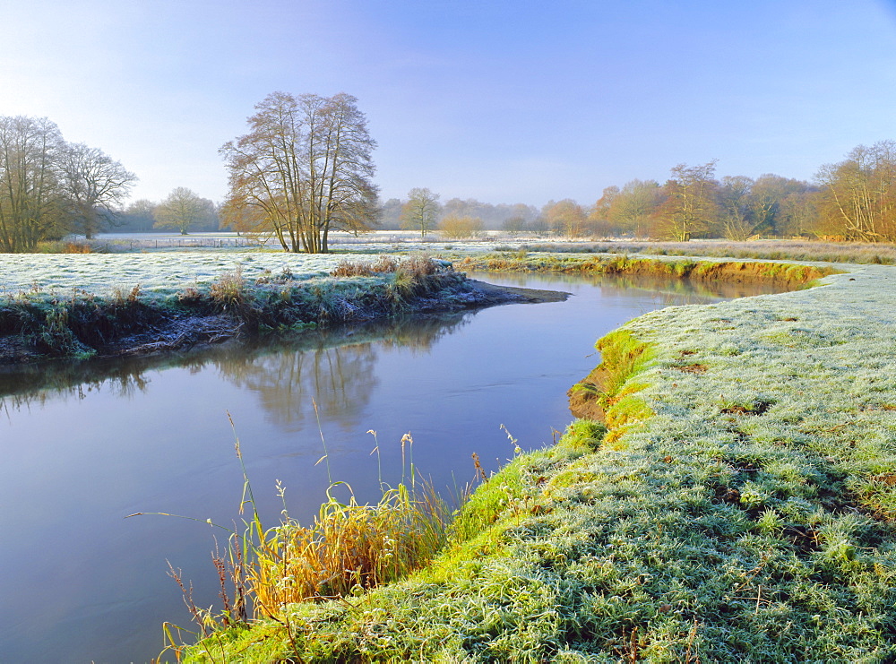 A frosty morning on Surrey Wildlife Trust's wetland reserve, The River Wey at Thundery Meadows, Elstead, Surrey, England