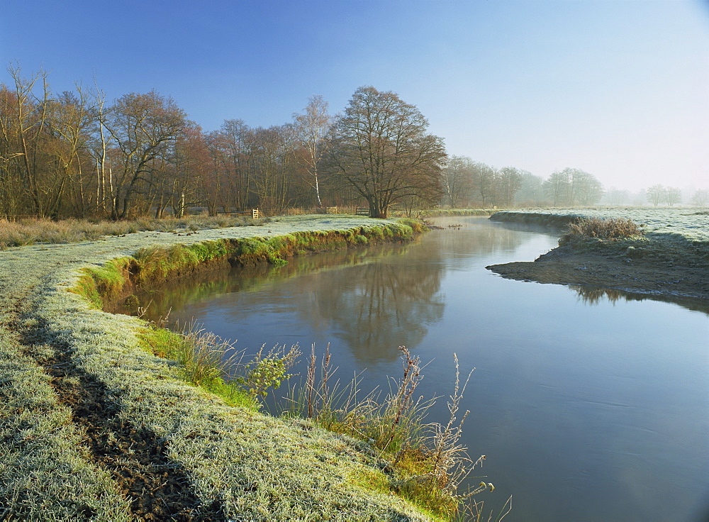 The River Wey at Thundery Meadows, a frosty morning on Surrey Wildlife Trust's wetland reserve, Elstead, Surrey, England, United Kingdom, Europe