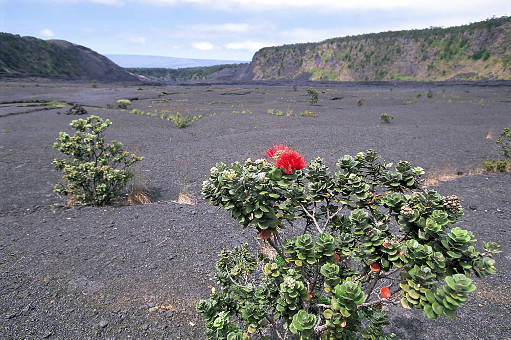 Halemaumau crater, Big Island, Hawaii, Hawaiian Islands, United States of America (U.S.A.), North America