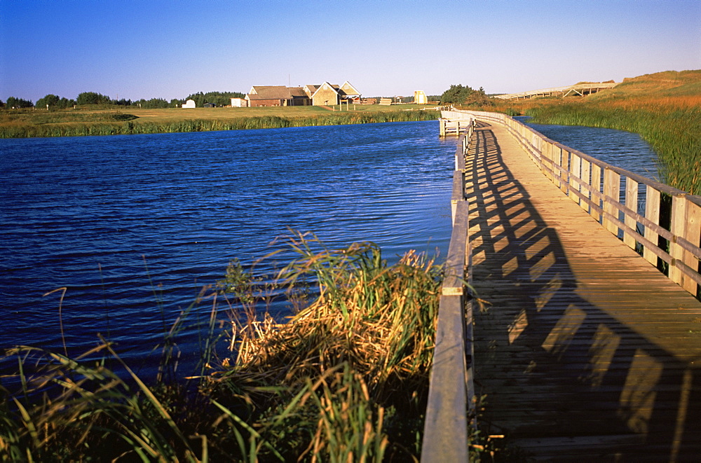 Cavendish National Park, Prince Edward Island, Canada, North America