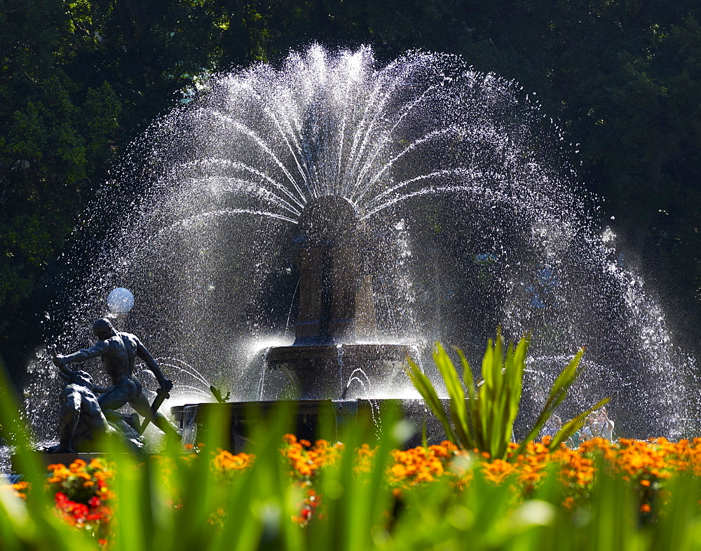 Fountain, Hyde Park, Sydney, New South Wales, Australia, Pacific