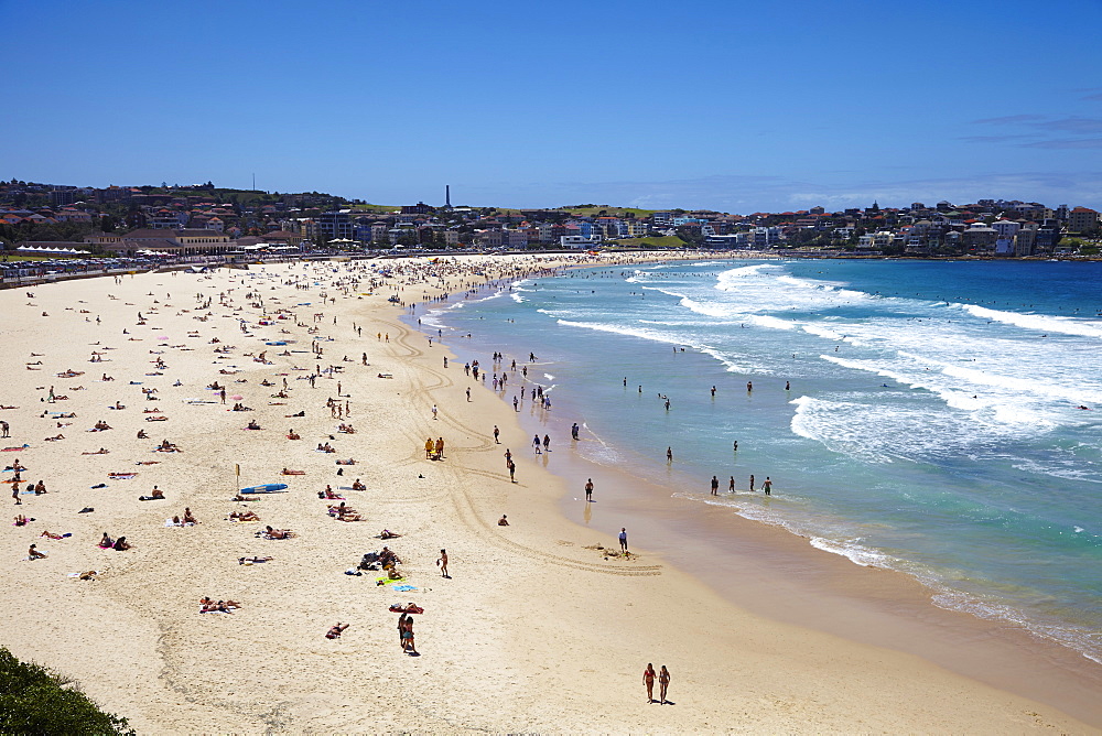 Bondi Beach, Sydney, New South Wales, Australia, Pacific