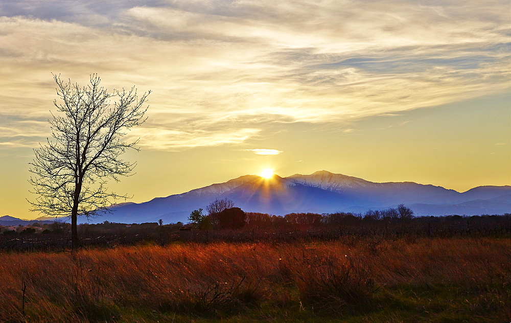 Sunset over Mount Canigou, Languedoc-Roussillon, Pyrenees Orientale, France, Europe