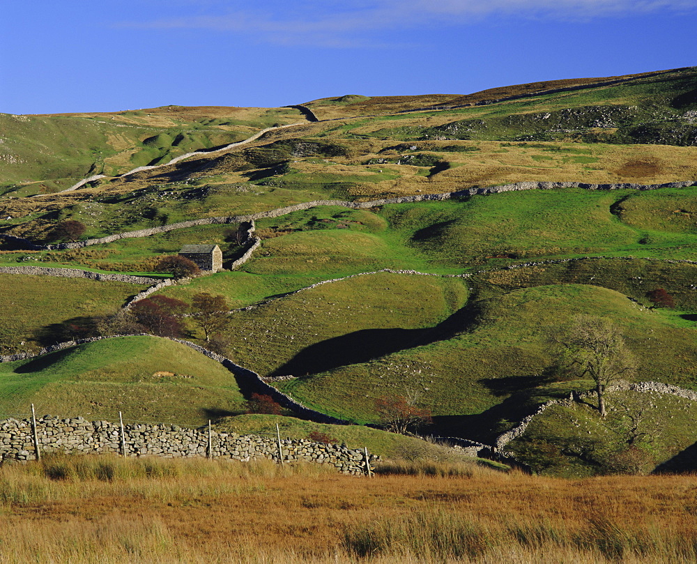 Swaledale, Yorkshire Dales National Park, Yorkshire, England, UK, Europe