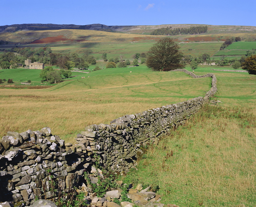 Wensleydale, Yorkshire Dales National Park, Yorkshire, England, UK, Europe