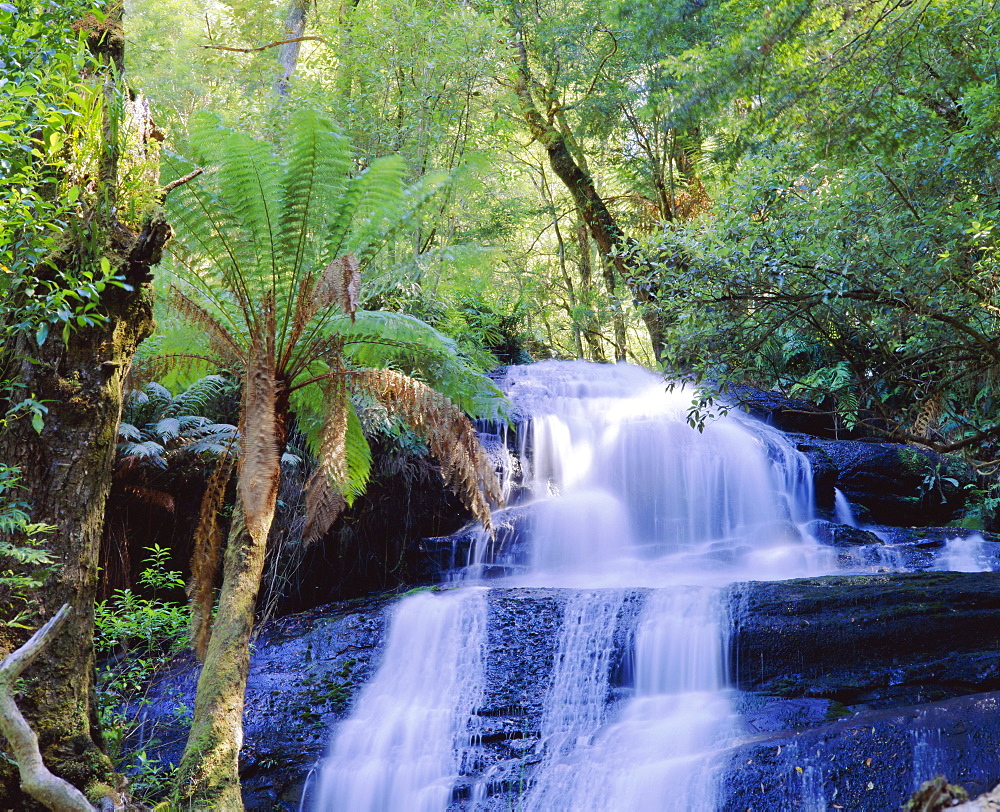 Triplet Falls, Otway National Park, Victoria, Australia