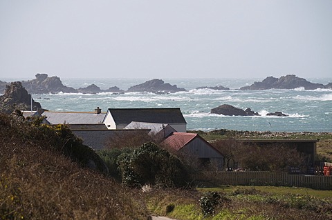 Bryer, Isles of Scilly, United Kingdom, Europe