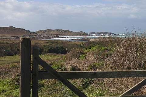 Bryer, Isles of Scilly, United Kingdom, Europe